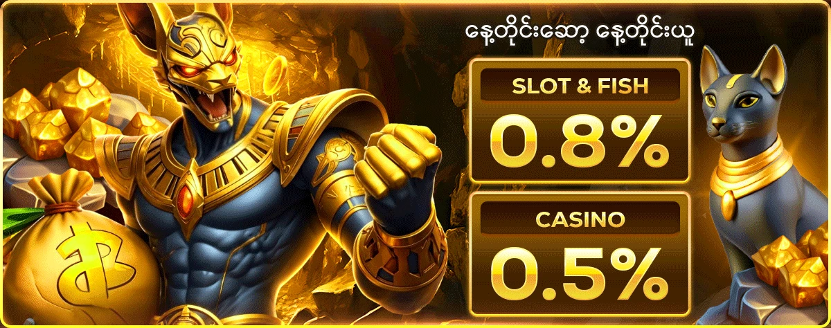 နေ့တိုင်းဆော့ နေ့တိုင်းယူ Slot & Fish 0.8%
